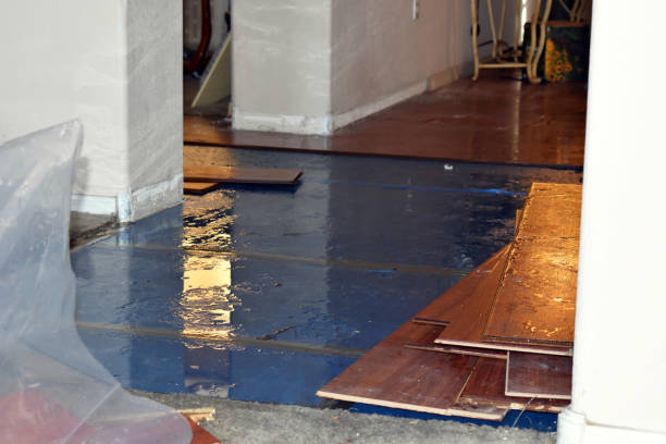 Professional Basement Flood Cleanup technician working in Owensville, OH